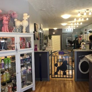 Prime Retail with Stable 5-Tenant Mix: 5403 Western Ave, Knoxville, TN 37921